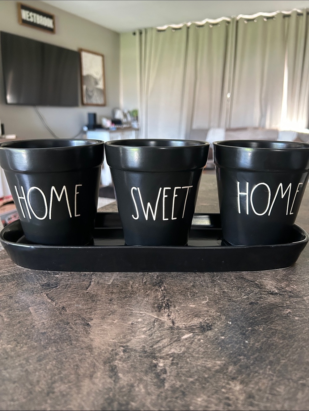 Rae Dunn Black "Home Sweet Home" Decorative Planter Set